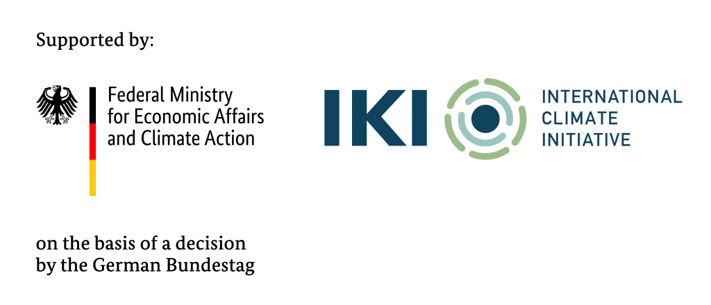 International Climate Initiative